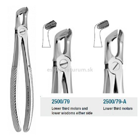 /Images/products/chirurgia/chirurgia-2500-79.jpg