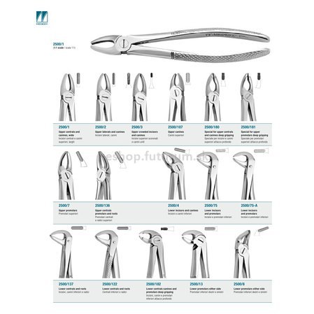 /Images/products/chirurgia/chirurgia-2500-xxx.jpg